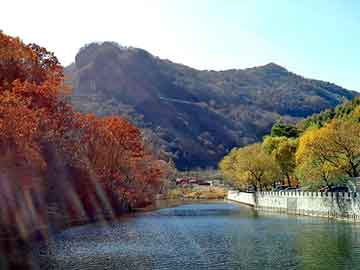 正版澳门天天开彩大全，都市天龙 一米水田